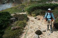 ＊白馬岳～杓子岳～鑓温泉へ＊　白馬岳縦走