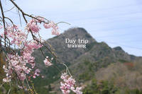 ＊　2011　お山モード　IN　＊　明神山　兵庫県