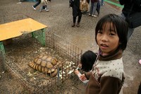 ＊　うり坊と子ザル　　＊　福知山市動物園