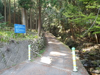 奥多摩林道で野営地散策～その１