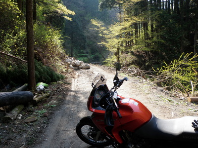 奥多摩林道で野営地散策～その１