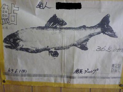 尺鮎への道:スーパー尺鮎36．5cm(・∀・)