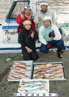 敦賀沖Bigfin Squidのガシラ（カサゴ）