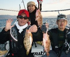 敦賀沖Bigfin Squidのガシラ（カサゴ）