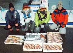 敦賀沖Bigfin Squidのガシラ（カサゴ）