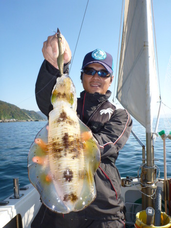 敦賀沖に、エギング・ティップラン！