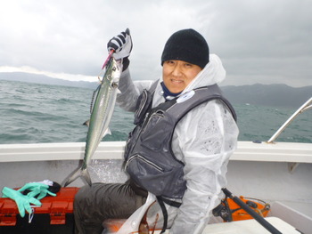 敦賀湾内で、ライトジギング！