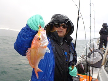 敦賀湾内で、ライトジギング！