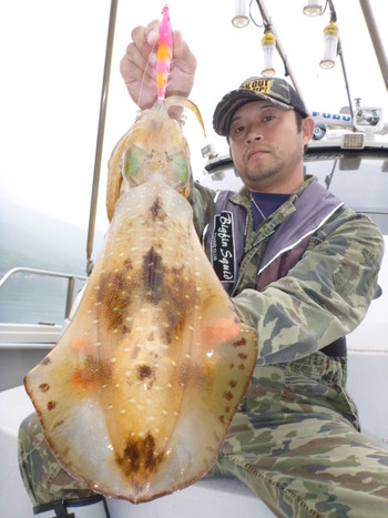 敦賀沖に、エギング・ティップラン！