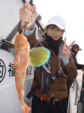 敦賀沖に、ジギング＆ティップラン！