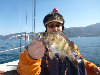 敦賀沖に、メバル釣り！