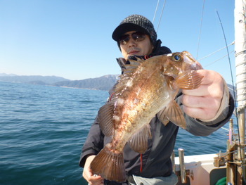 敦賀沖に、メバル釣り！