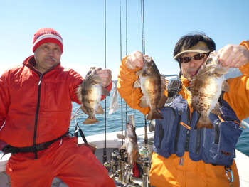 敦賀沖に、メバル釣り！