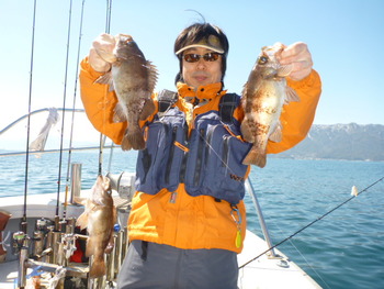 敦賀沖に、メバル釣り！