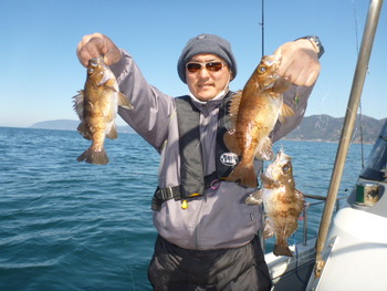 敦賀沖に、メバル釣り！