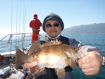 敦賀沖に、メバル釣り！