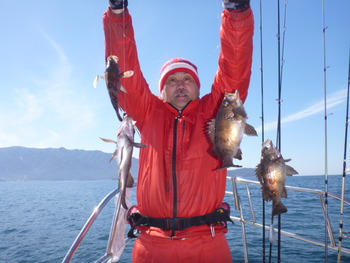敦賀沖に、メバル釣り！
