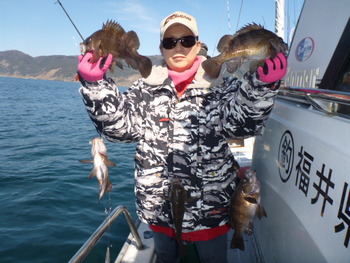 敦賀沖に、メバル釣り！