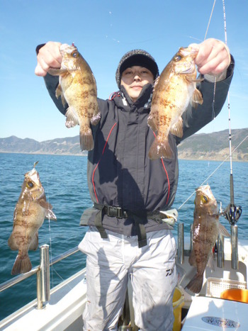 敦賀沖に、メバル釣り！