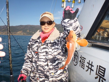 敦賀沖に、メバル釣り！
