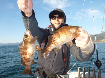 敦賀沖に、メバル釣り！