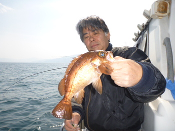 敦賀沖に、メバル＆ジギング！