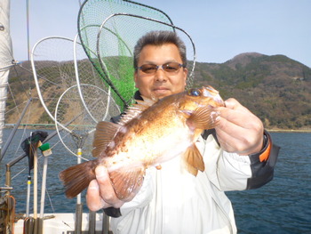 敦賀沖に、メバル＆ジギング！