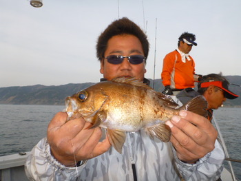 敦賀沖に、メバル＆ジギング！