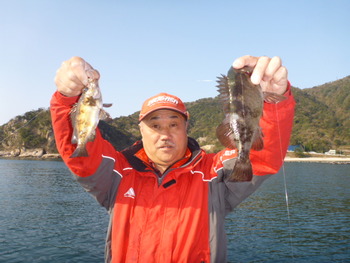 敦賀沖に、メバル！