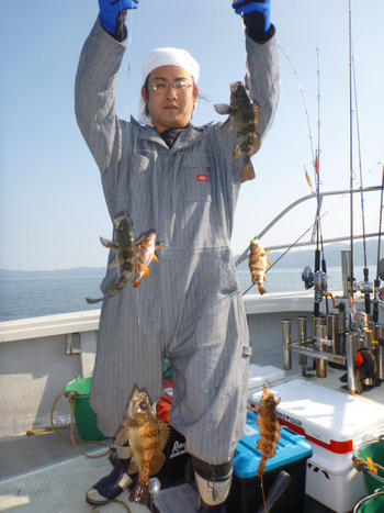 敦賀沖に、メバル！