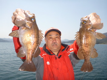 敦賀沖に、メバル！
