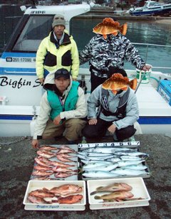 敦賀沖Bigfin Squidのガシラ（カサゴ）