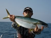 敦賀沖から越前岬に、タテ釣り・泳がせ！