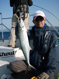 敦賀沖から越前岬に、ジギング・タテ釣り・泳がせ！