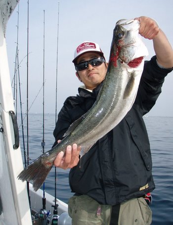 敦賀沖から越前岬に、ジギング！