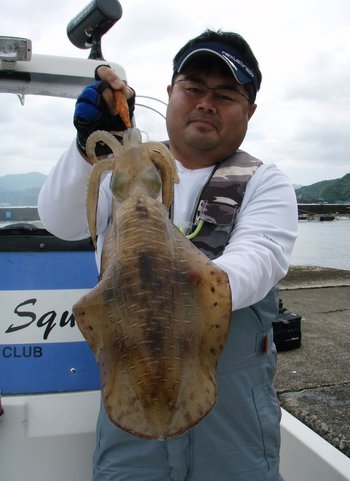 敦賀湾内で、親アオリイカエギング！