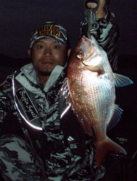 敦賀沖Bigfin Squidの餌釣り