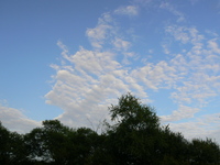 国連総会 2008/09/07 18:07:33