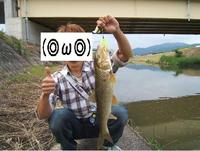 淡水ボーンフィッシュ