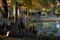fishing-guiter-music-photo