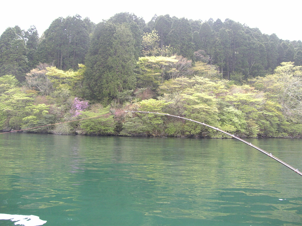 箱根の新緑に癒されるーぅ