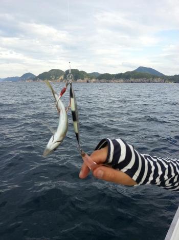 打倒！日本海シーバスからの～…