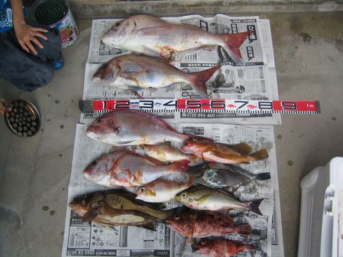 釣り日和。さて釣果は