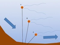 流れの有無によるフィーディング方法を考える