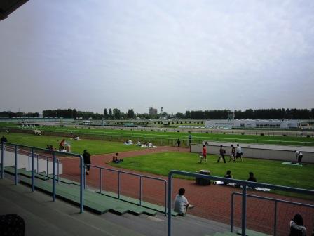 競馬（ボス家の）対応マニュアル