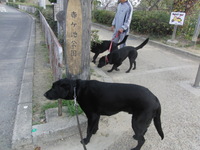 だめだこりゃ？！ 2011/04/07 13:46:45