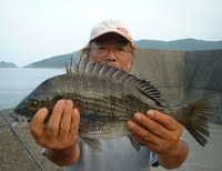 チヌ釣り 2007/07/18 21:50:33