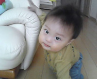 土佐弁 2007/09/17 18:17:02