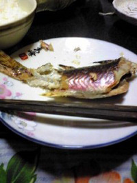 食する 2007/04/09 22:19:01