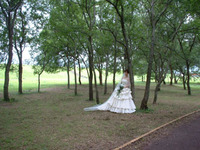 前写し 2007/07/20 23:07:20